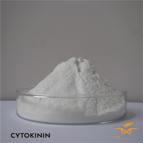 CYTOKININ